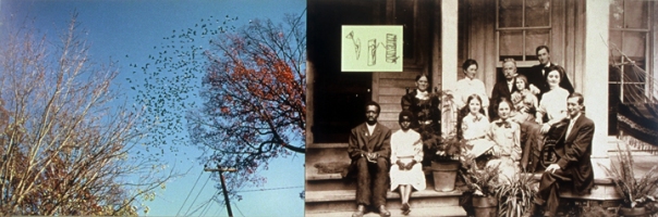 front-porch-bowling-green-c