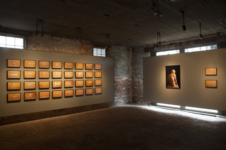 Installation image, constance thalken